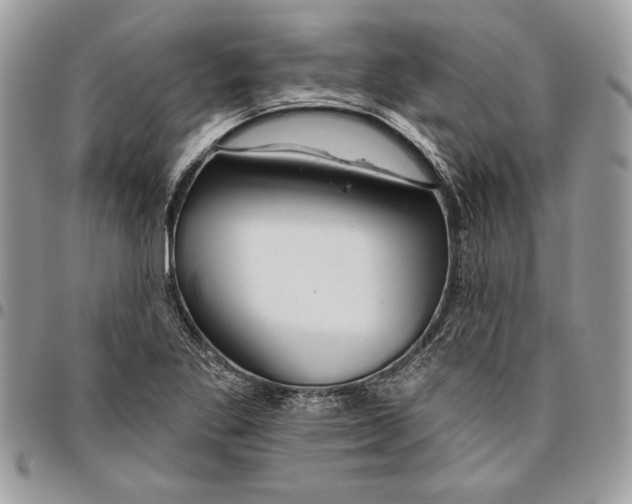 X0000095881269200802081046