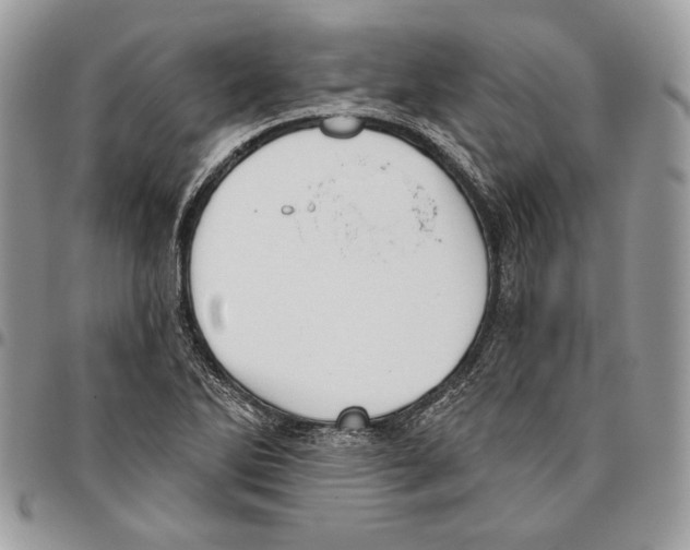 X0000095881270200802081046