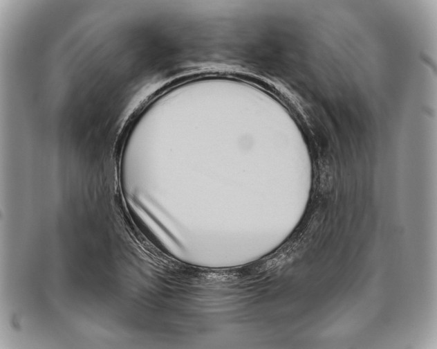 X0000095881271200802081046