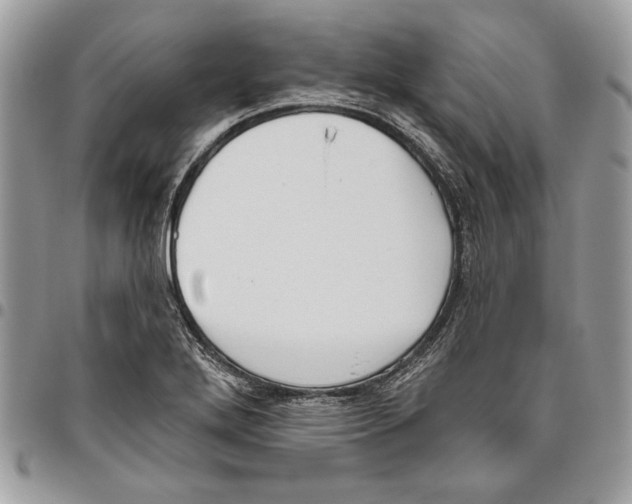 X0000095881272200802081046