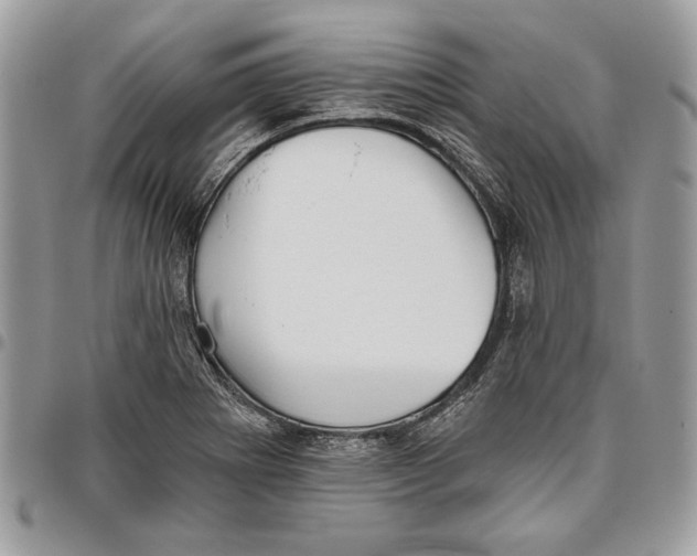 X0000095881273200802081046