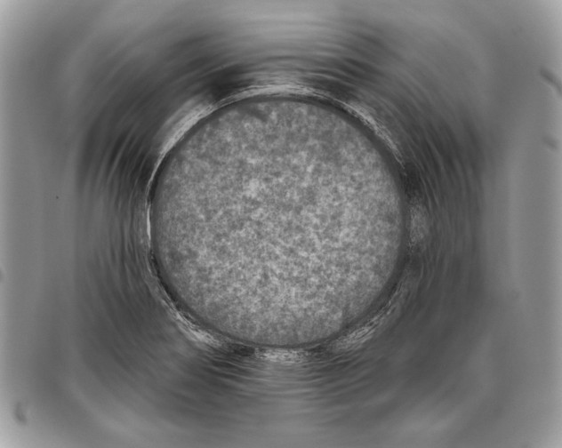 X0000095881274200802081046