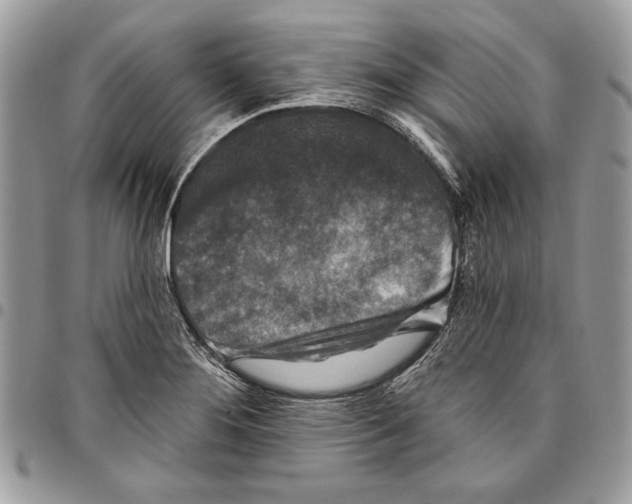 X0000095881276200802081046