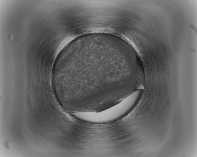 X0000095881277200802081046