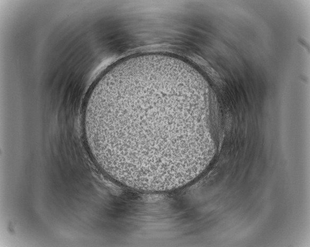 X0000095881278200802081046