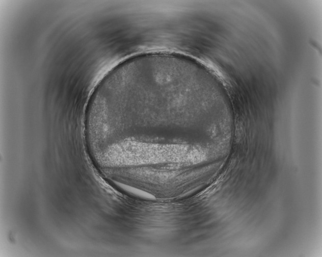 X0000095881279200802081046