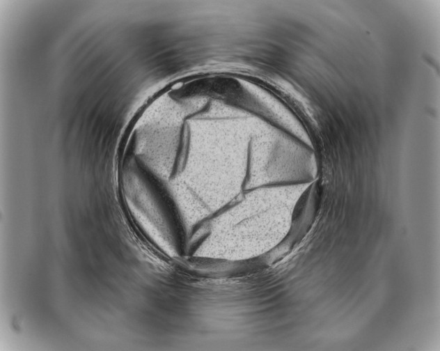 X0000095881280200802081046