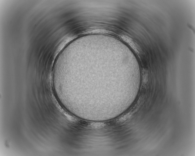 X0000095881282200802081046