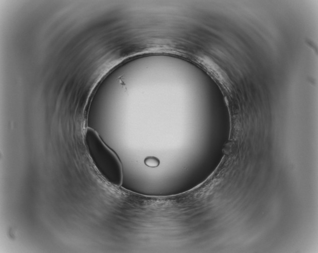 X0000095881284200802081046