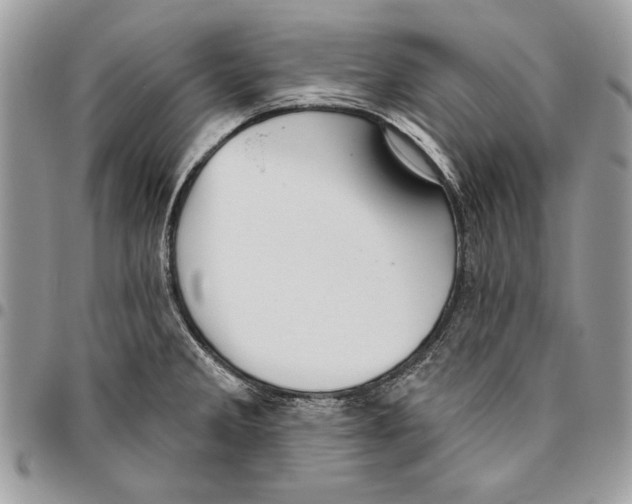 X0000095881285200802081046