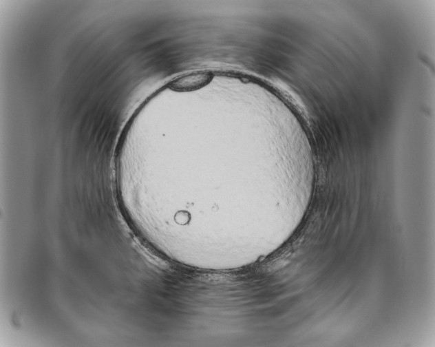 X0000095881287200802081046