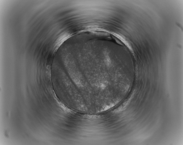 X0000095881289200802081046