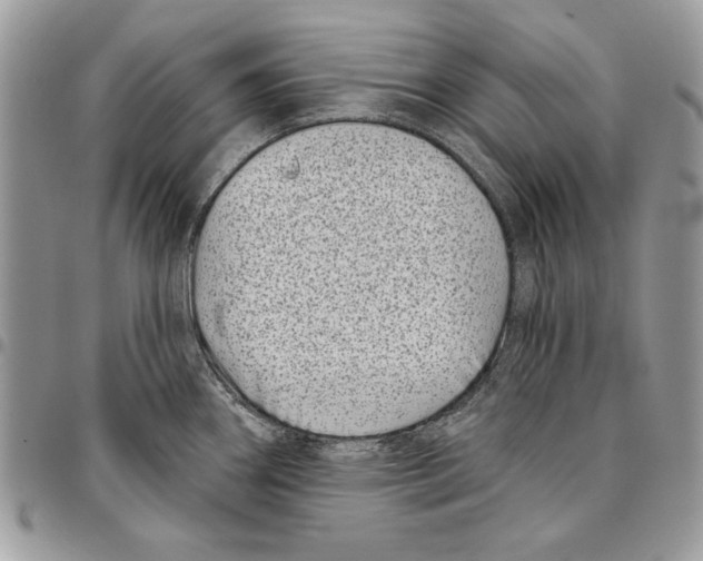 X0000095881290200802081046