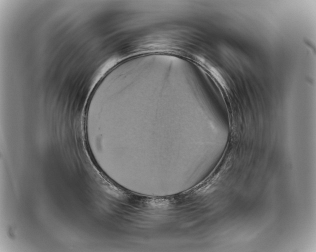 X0000095881291200802081046