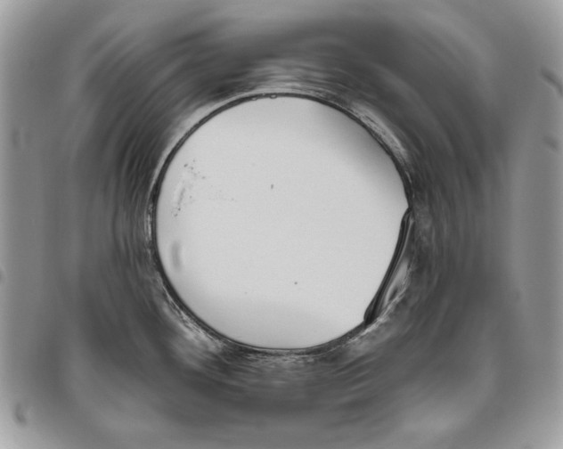 X0000095881292200802081046