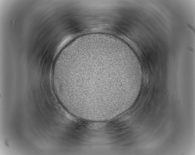 X0000095881294200802081046