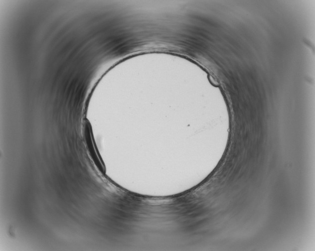 X0000095881296200802081046