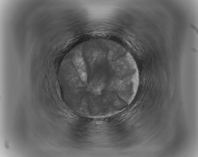 X0000095881297200802081045