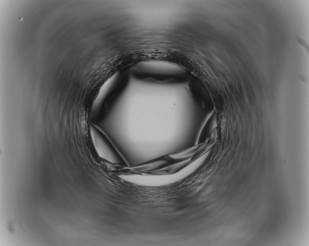 X0000095881298200802081045