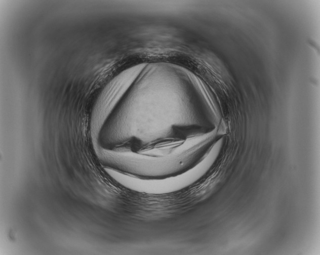 X0000095881300200802081045