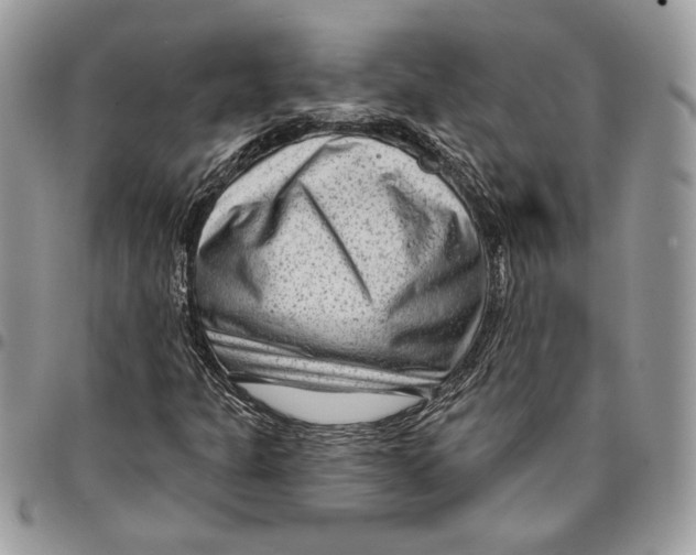 X0000095881301200802081045