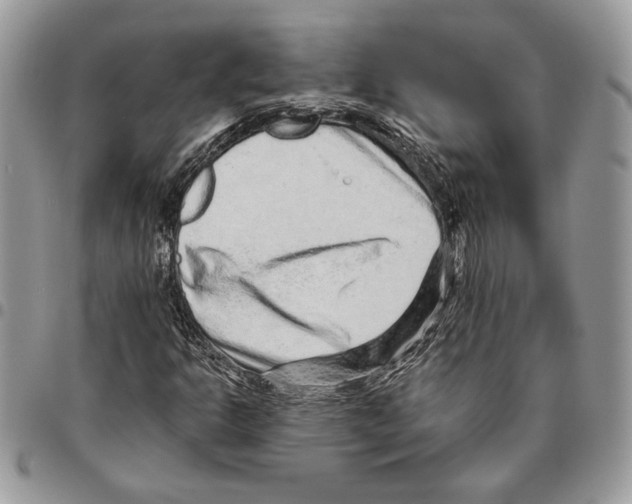 X0000095881302200802081045