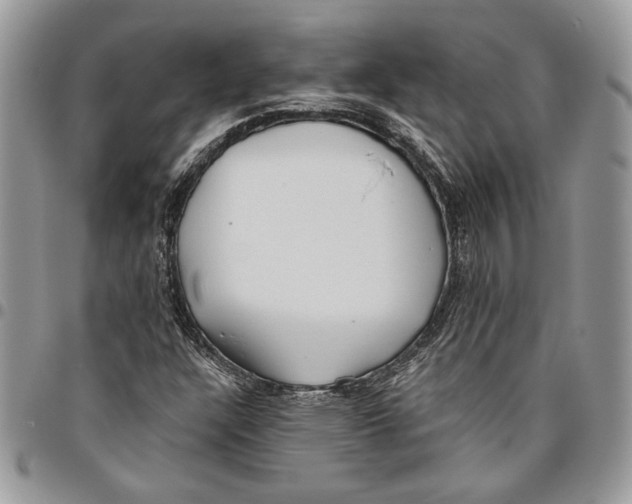 X0000095881304200802081045