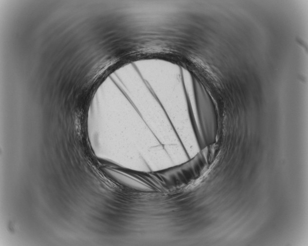 X0000095881305200802081045