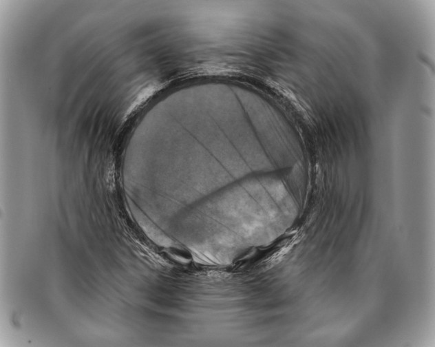 X0000095881306200802081045