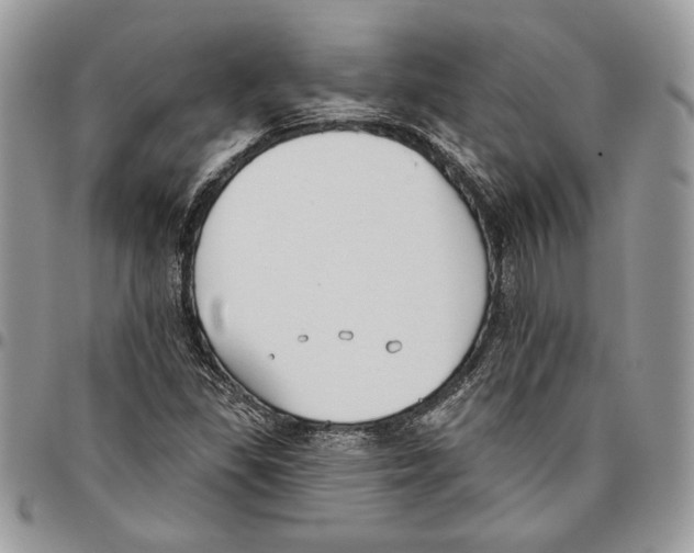 X0000095881309200802081045