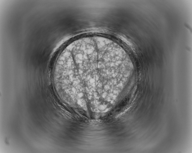 X0000095881310200802081045