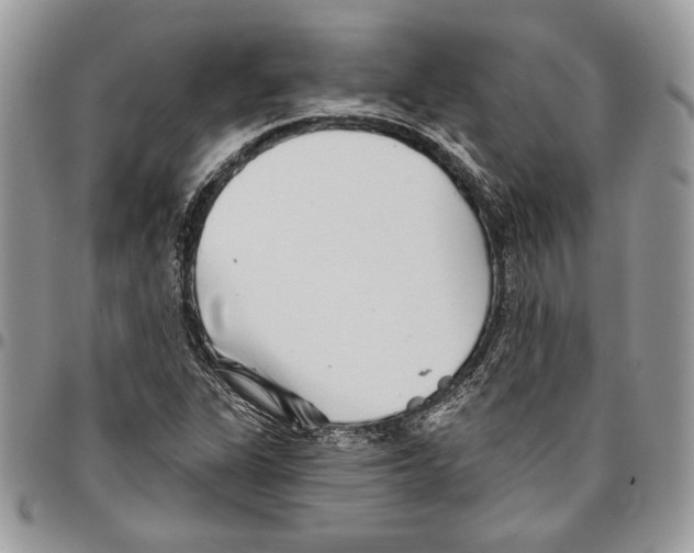 X0000095881311200802081045