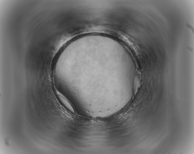 X0000095881312200802081045