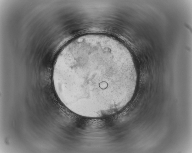 X0000095881314200802081045