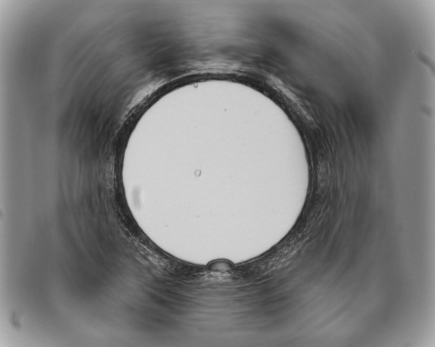 X0000095881315200802081045