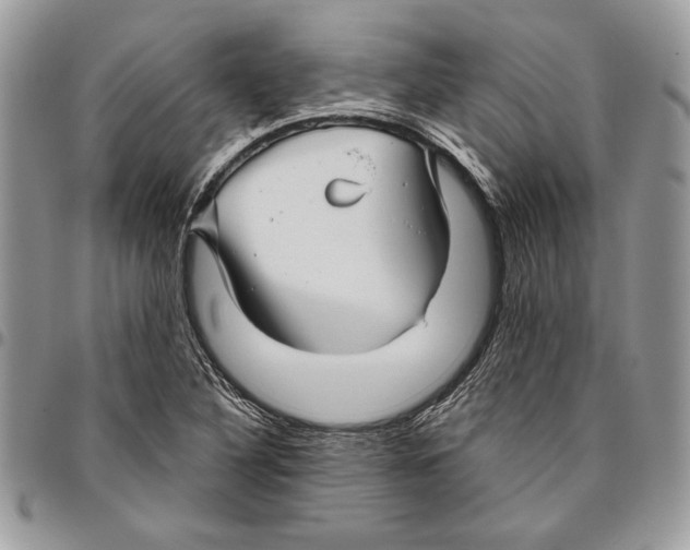 X0000095881316200802081045