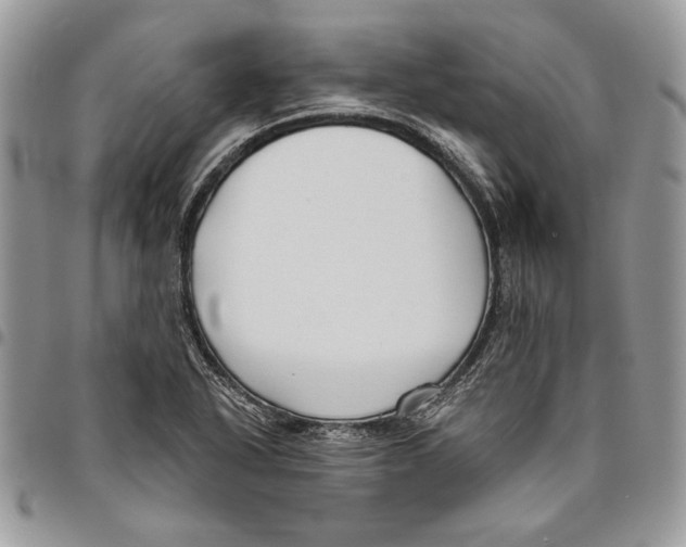 X0000095881318200802081045