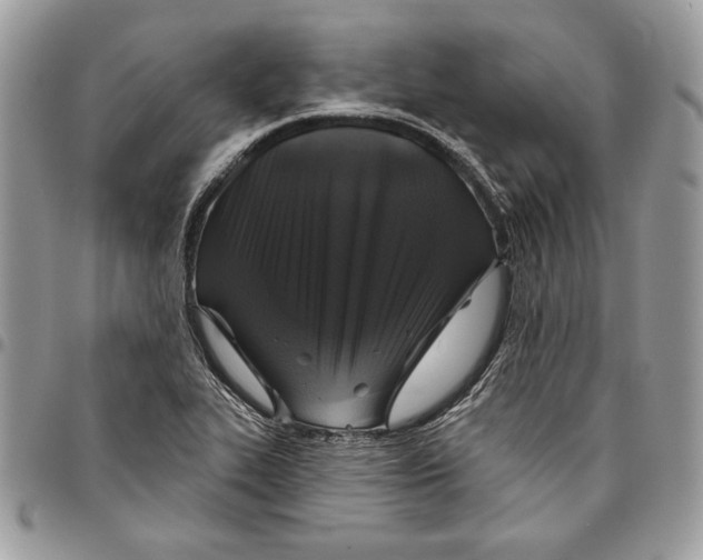 X0000095881319200802081045