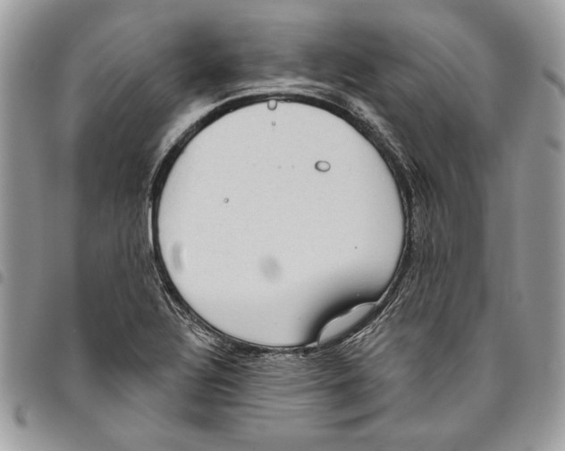 X0000095881320200802081045