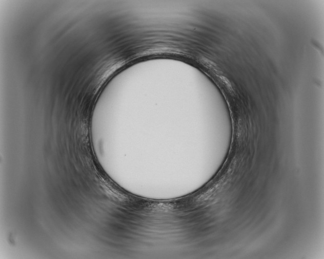 X0000095881321200802081045