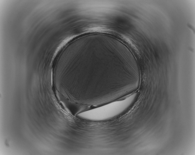 X0000095881323200802081045