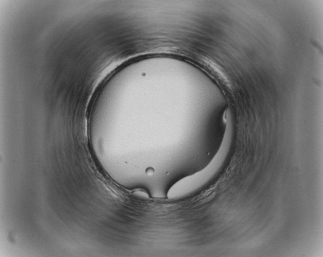 X0000095881324200802081045