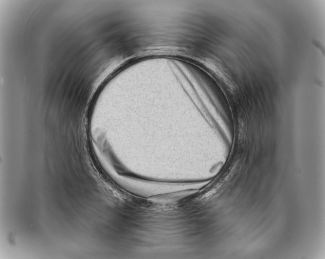 X0000095881325200802081045