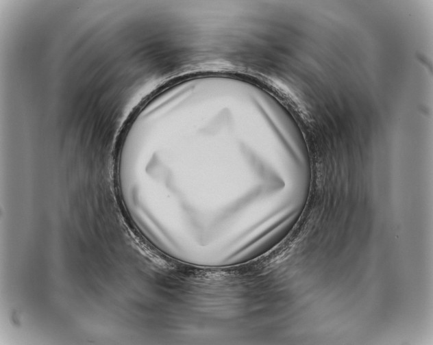 X0000095881326200802081045