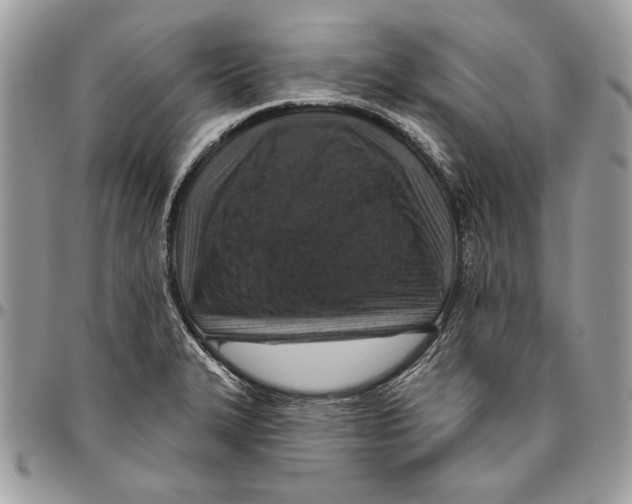 X0000095881327200802081045