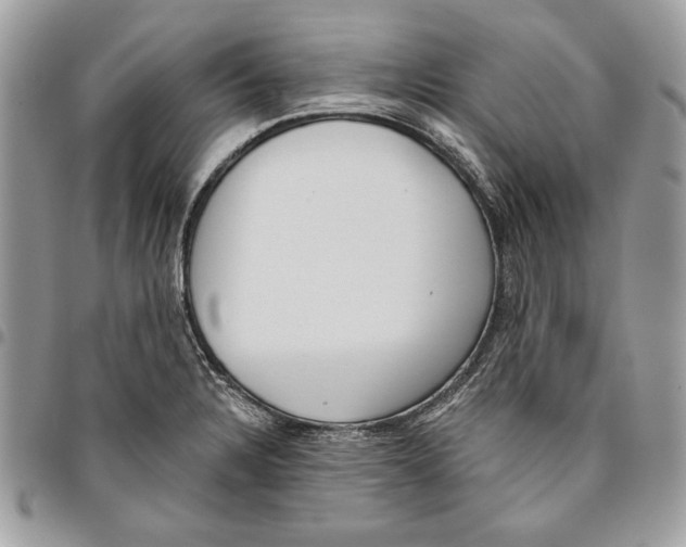 X0000095881328200802081045