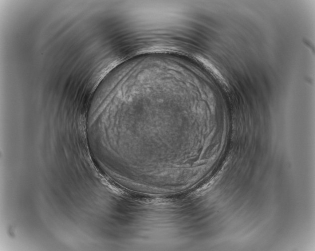 X0000095881329200802081045