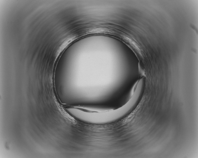 X0000095881330200802081045