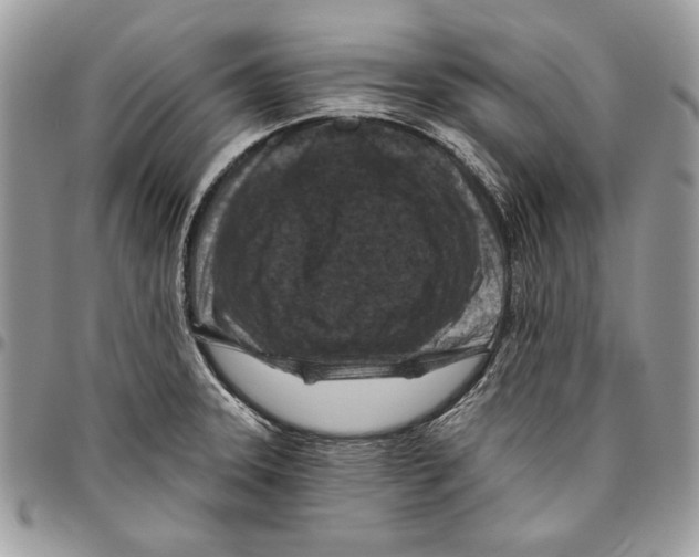 X0000095881331200802081045