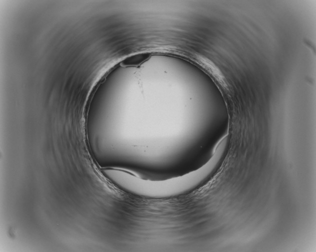 X0000095881332200802081045